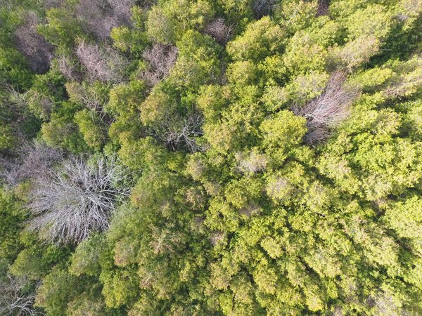 Exploration et Analyse des Rôles de Genre : Une Plongée Profonde et Révélatrice